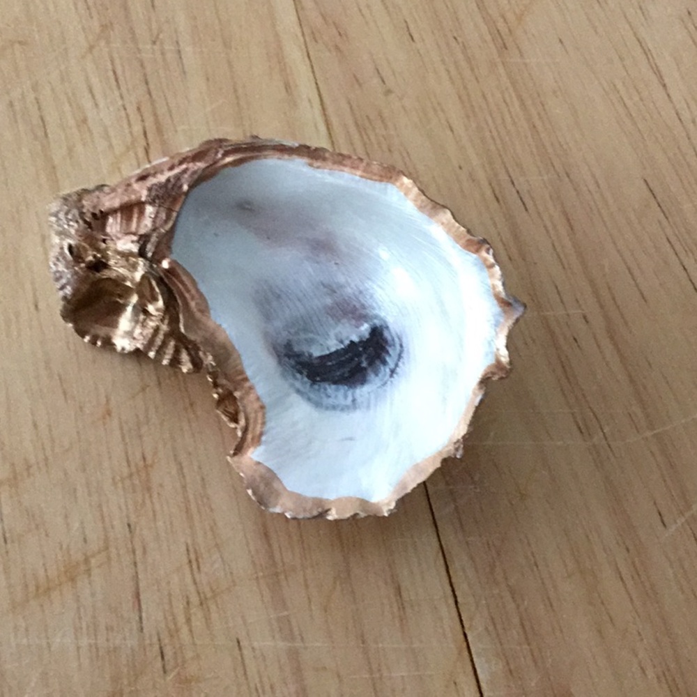Decoupaged Oyster Shell Ring Holder
